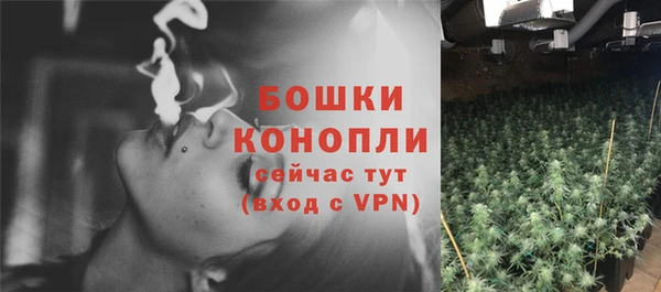 гидра Нязепетровск