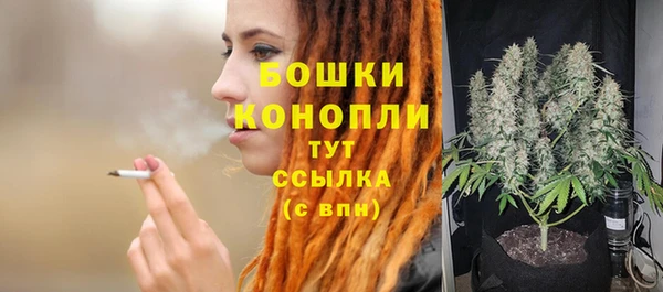 гидра Няндома