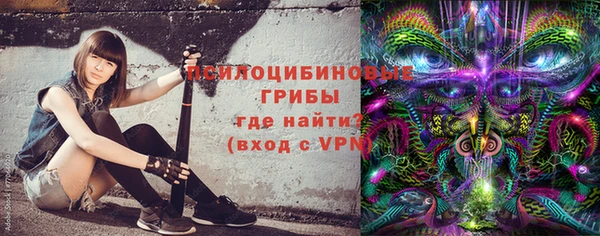 ГАЛЛЮЦИНОГЕННЫЕ ГРИБЫ Алексин